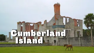 Cumberland Island, Georgia | Taking the Land and Legacy Tour