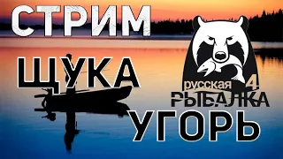 Русская Рыбалка 4 | РР4 | Подрубный