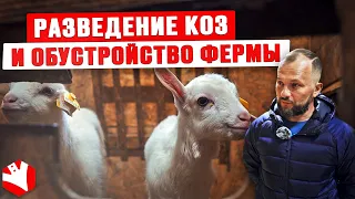 Разведение коз и обустройство фермы | КФХ «Долина Коз»