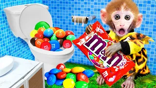 🔴Monkey baby Bi Bon helps puppy and the magical toilet with M&M candy | Animals Home Monkey video