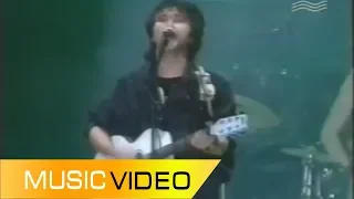 Кино (Виктор Цой) - Песня без слов LIVE