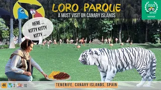 Loro Parque Tenerife. All the Shows and Top 5 of the Cutest Animals!