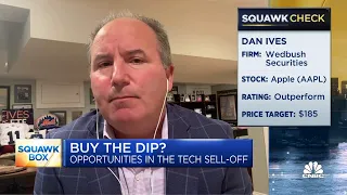 Wedbush's Dan Ives on buying tech: Now is the time we double down