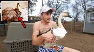 We tried to save him... *VIEWER DISCRETION ADVISED*