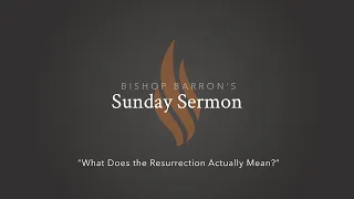 What Does the Resurrection Actually Mean? — Bishop Barron’s Sunday Sermon