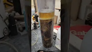 Stabilizing Pine Cones