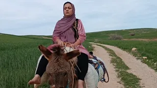 The life of a nomadic woman in Iran: Shepherding and gathering grass. Iranian family 🏕🌳🏕👩🏻‍🦰