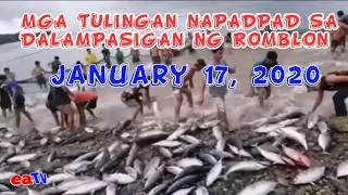 Tulingan Dumagsa sa Dalampasigan ng Romblon