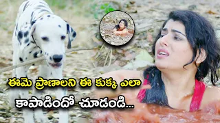 ఈమె ప్రాణాలని ఈ కుక్క ఎలా కాపాడిందో చూడండి..... | Panchami Telugu Movie Scenes | Archana