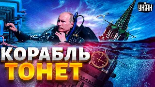 Крысы бегут с корабля: чиновники предали Россию. Путин упечет всех за решетку