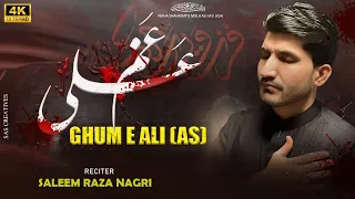 Noha Imam Ali as 2024 || 21 Ramzan Shahadat e Moula Ali as || Saleem Raza Nagri