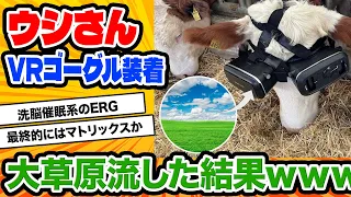 【2ch動物スレ】VRを装着された牛、映し出される大草原に騙され良質な牛乳を沢山出してしまう