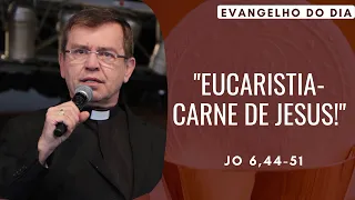 EVANGELHO DO DIA 05/05 (5ª feira): EUCARISTIA-CARNE DE JESUS! Jo 6,44-51