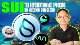 Sui Топ самых перспективных проектов построенных на блокчейне / Cetus Protocol / Navi / Scallop