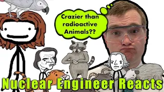 Nuclear Engineer Reacts to Sam O'Nella Academy "Presidential Pets: A Brief History"