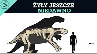 MEGAFAUNA - ZWIERZĘTA KTÓRE ISTNIAŁY W CZASACH WZNOSZENIA GOBEKLI TEPE