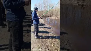 Местная рыбалка 🎣 #shortsclip