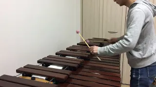 “Porgy and Bess” Xylophone/Fastest