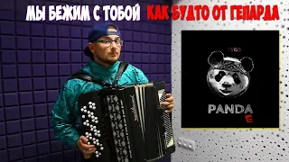 CYGO - Panda E (кавер на баяне)