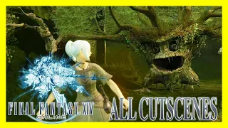 Final Fantasy XIV 1.0 - All Cutscenes