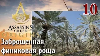 Assassins Creed Origins ИСТОКИ ПРОХОЖДЕНИЕ НА РУССКОМ КОШМАР 4K #10 Заброшенная финиковая роща