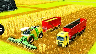 Making Silage With Krone Harvester In Fs16 || Fs16 Multiplayer || Timelapse ||