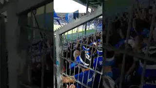 Arminia Bielefeld - SV Wehen Wiesbaden || Das 1:1 || Pure Eskalation und Bundesliga-Euphorie