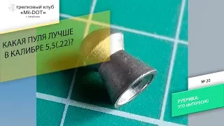 Какая пуля лучше в калибре 5,5 для PCP пневматики