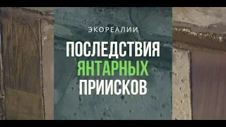 Что добыча янтаря сделала с украинским Полесьем | ЭкоРубрика