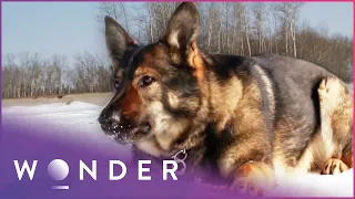 Officer Mourns Death Of His Police Dog | K9 Mounties S1 EP6 | Wonder