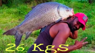 How To Catch Big Size Catla Fish River Fishing Incredible Fishing Singh Shikar