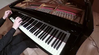 Liebestraum No. 3 ~ Franz Liszt