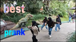 Best funny prank with dinosaur!!!