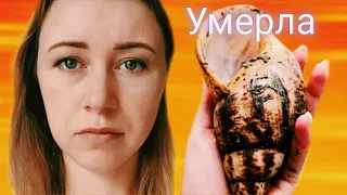 МНЕ ЖАЛЬ, НО ОНА ВСЁ-ТАКИ УМЕРЛА😔