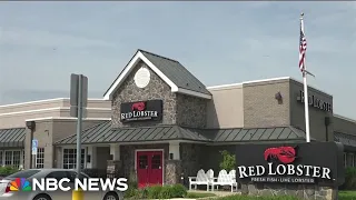 How private equity helped sink Red Lobster