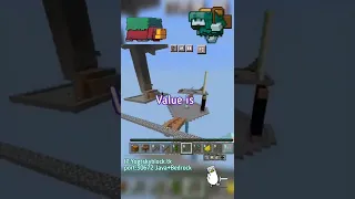 I saw a pro in my Skyblock server