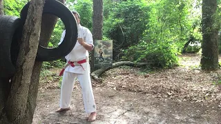 Mawashi Geri (Roundhouse Kick)