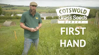 Special Pig-rooting Mix, Herbal Ley & Fast & Vast with Justin Newman  - Cotswold Seeds First Hand