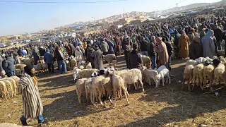 جولة في سوق الاسبوعي سوق السبت تاوريرت الأغنام 🐐🐑