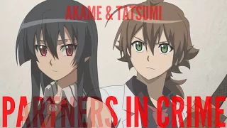 Akame and Tatsumi - Partners in crime - Akame Ga Kill! AMV