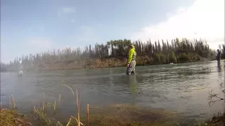 Alaska, Coopers Landing, Russian River, Kenai Lake, Salmon Fishing