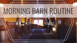 Morning BARN ROUTINE & Feeding the Horses | Another Day in the Life + Barn Chores EQUESTRIAN VLOG