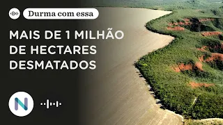 Por que o Cerrado voltou a ser o bioma mais desmatado | Podcast de 28.mai.24