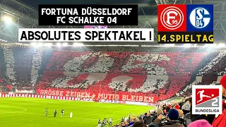 5:3 SPEKTAKEL! Fortuna Düsseldorf - FC Schalke 04 5:3 Alle Tore & Highlights 25.11.2023 2.Bundesliga