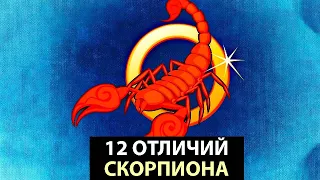 12 Отличий СКОРПИОНА от других знаков.