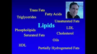 Lipids: What they are and Why they are important