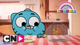 Micul Gumball | Uimitoarea lume a lui Gumball | Cartoon Network