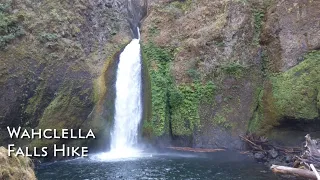Wahclella Falls Hike Guide | Cascade Locks, Oregon
