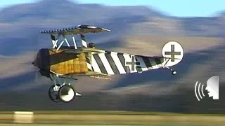 Five World War 1 Fokker Dr.1 triplanes