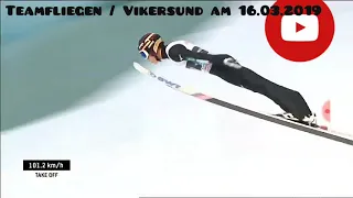 Ryoyu Kobayashi 241,5m new PB Vikersund 2019 TEAM